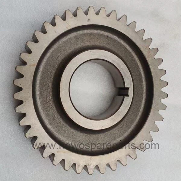 FAST GEARBOX Countershaft Gear 19552 suppliers